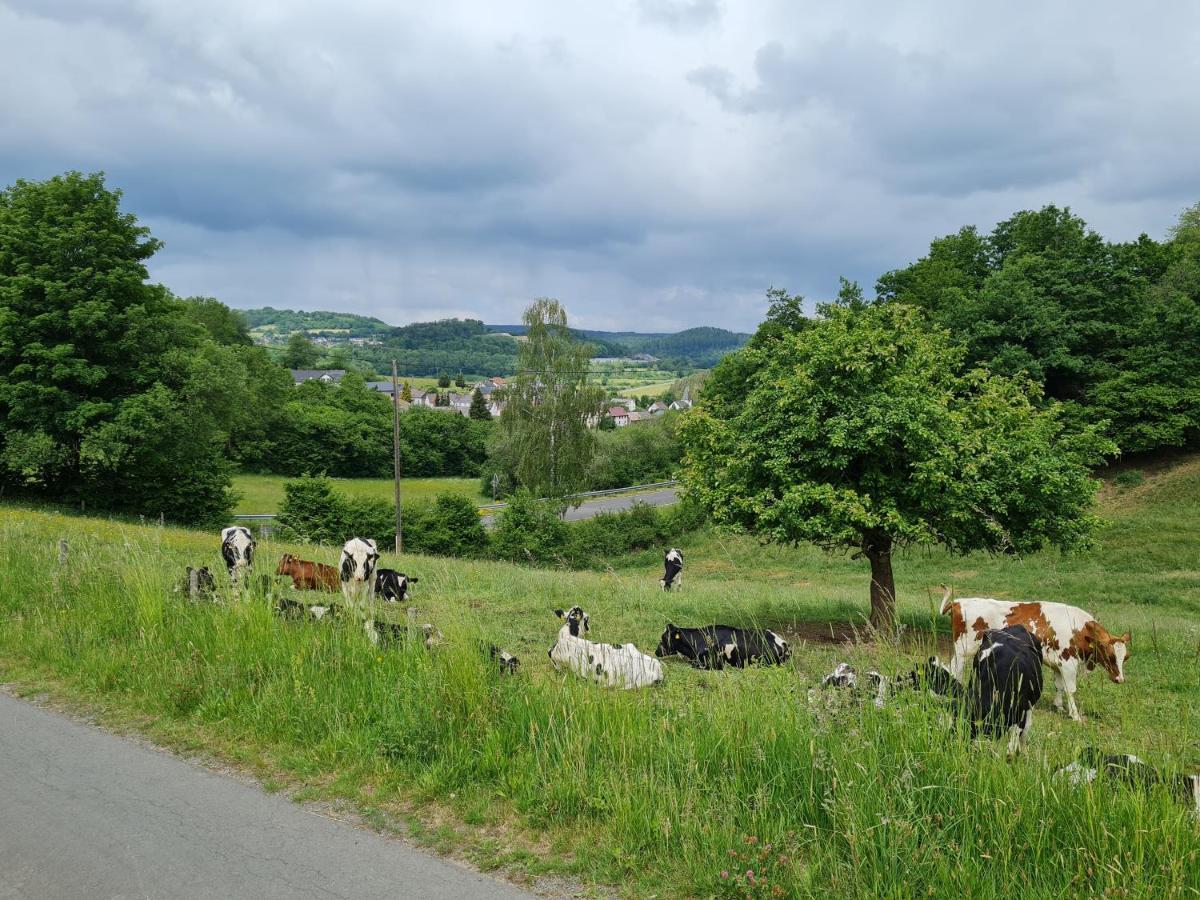 Gasthaus Paula Üdersdorf Zewnętrze zdjęcie